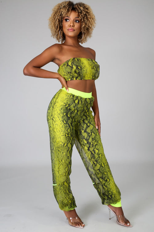 Snake Sheer Pant Set