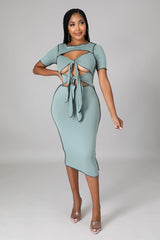 Life's Moment Dress