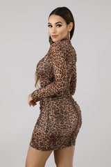 Scrunched Cheetah Dress